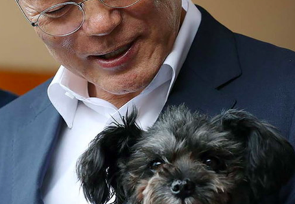 Corea del Sud, stop alla carne di cane nei piatti